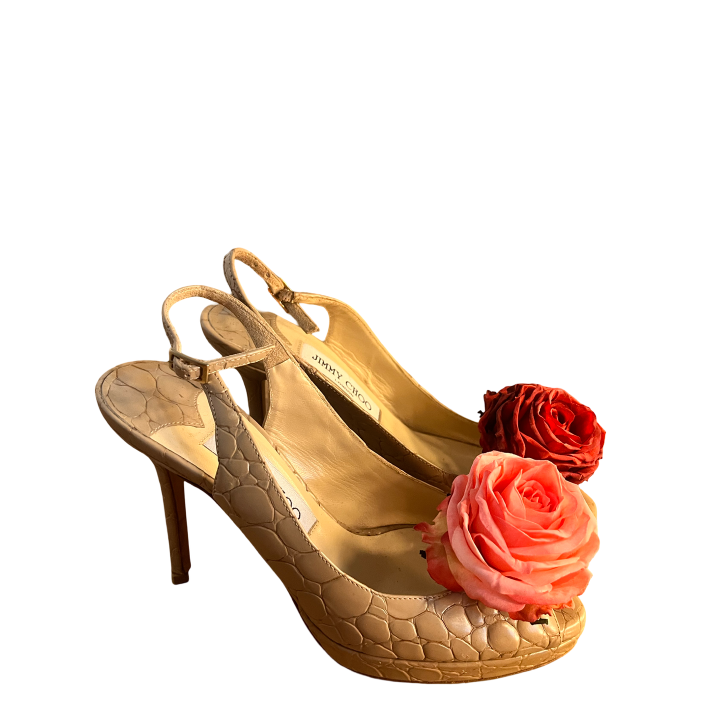 rose venom jimmy choo's, US 6