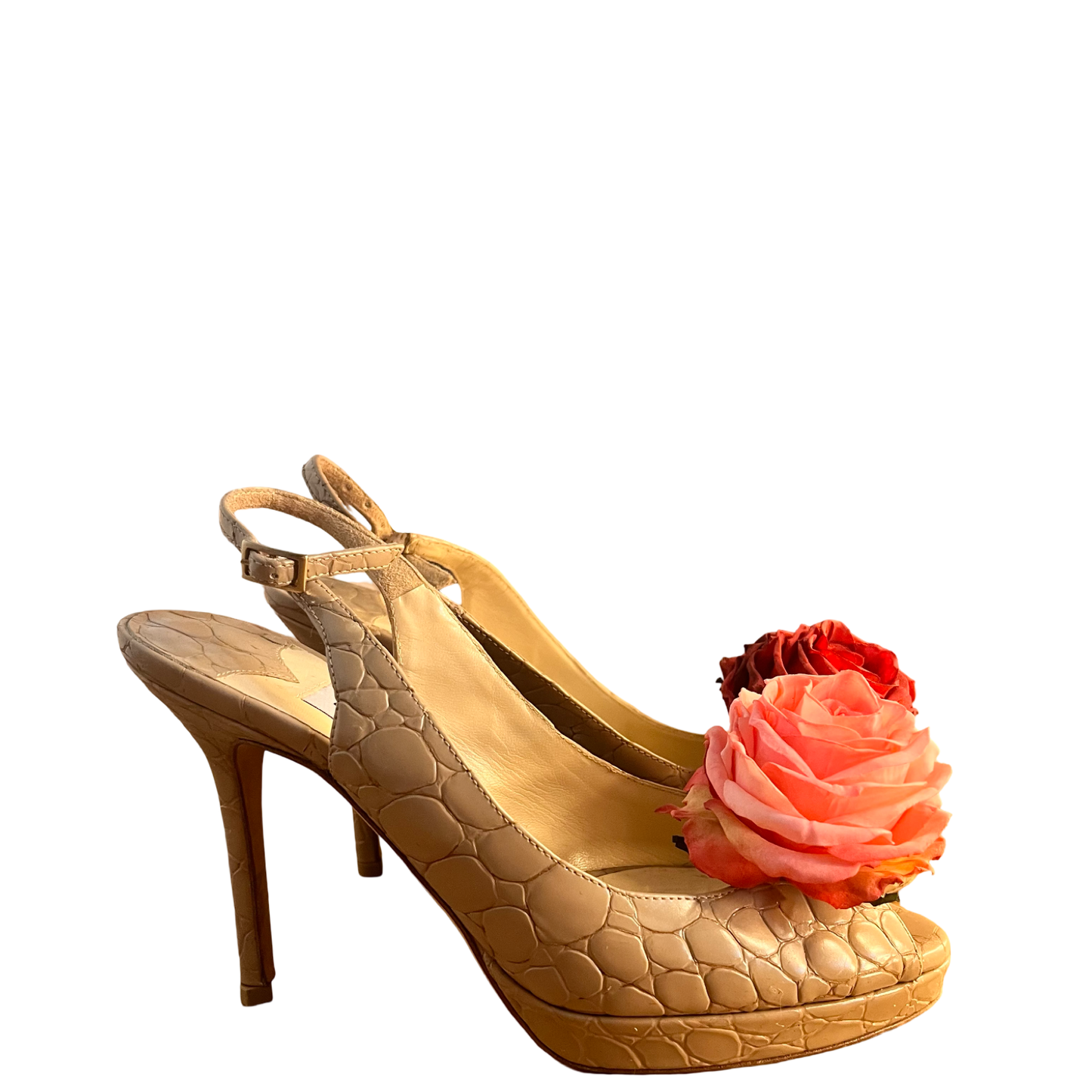 rose venom jimmy choo's, US 6